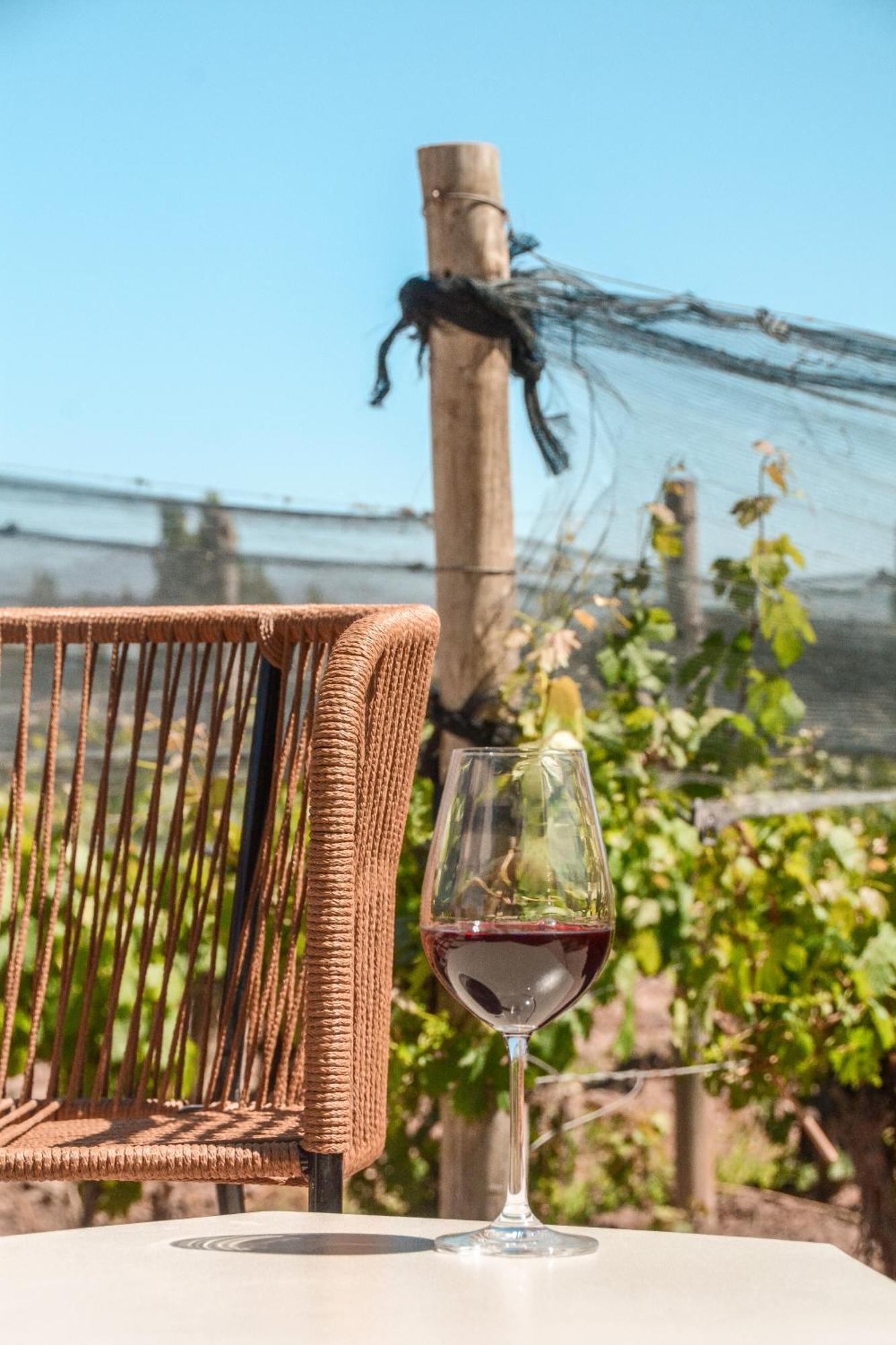 Agrelo Vines Lodge Exteriér fotografie