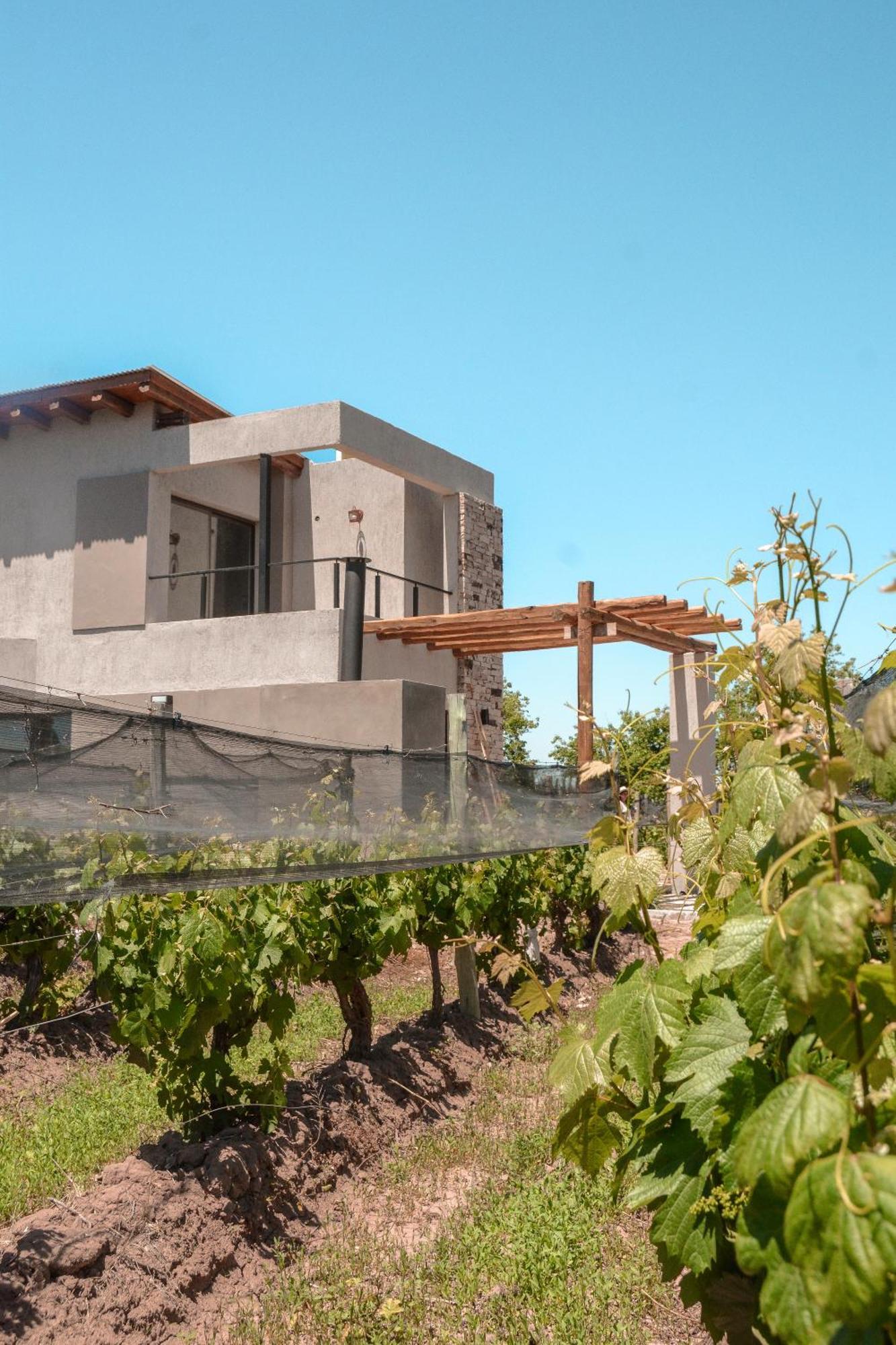 Agrelo Vines Lodge Exteriér fotografie