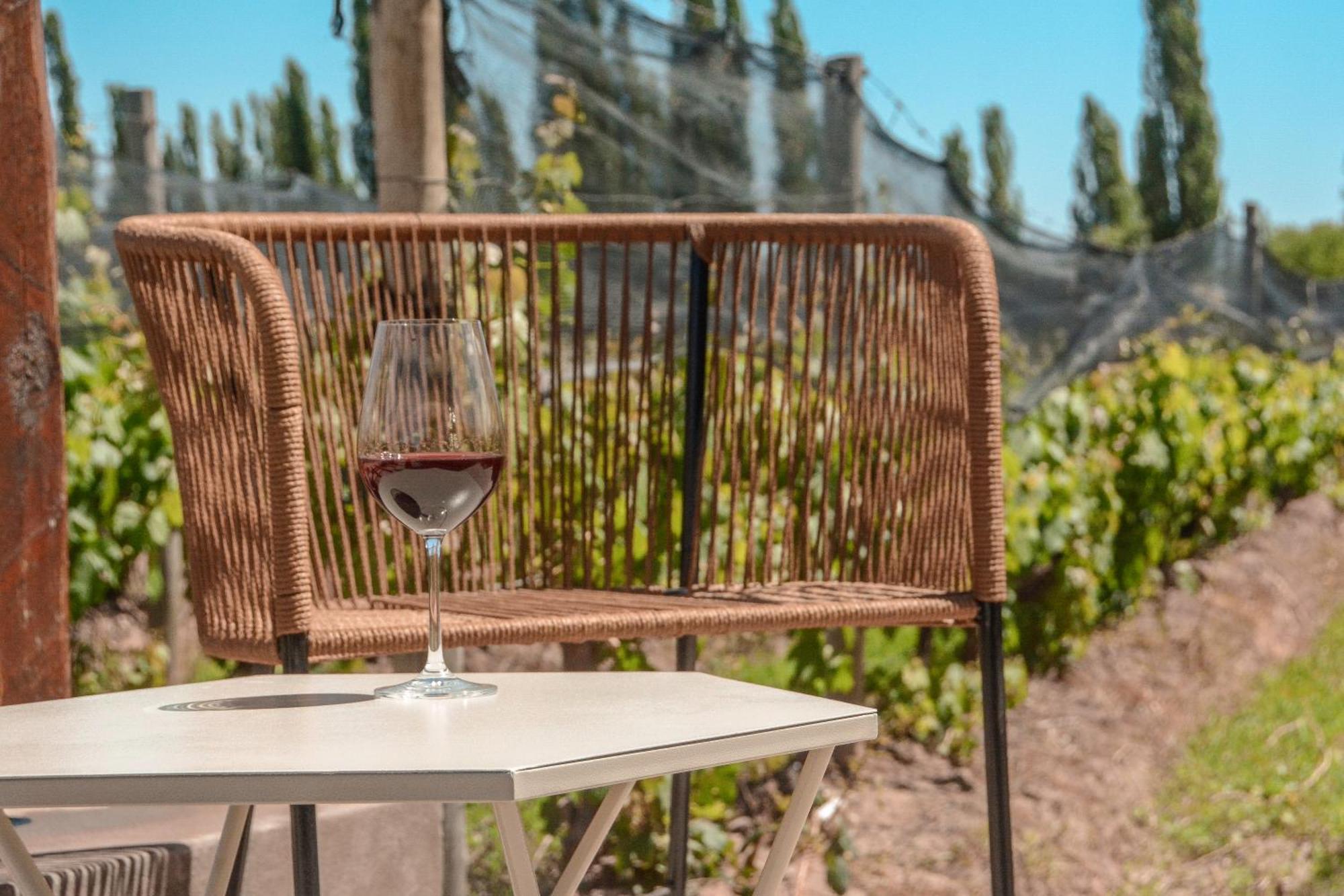 Agrelo Vines Lodge Exteriér fotografie