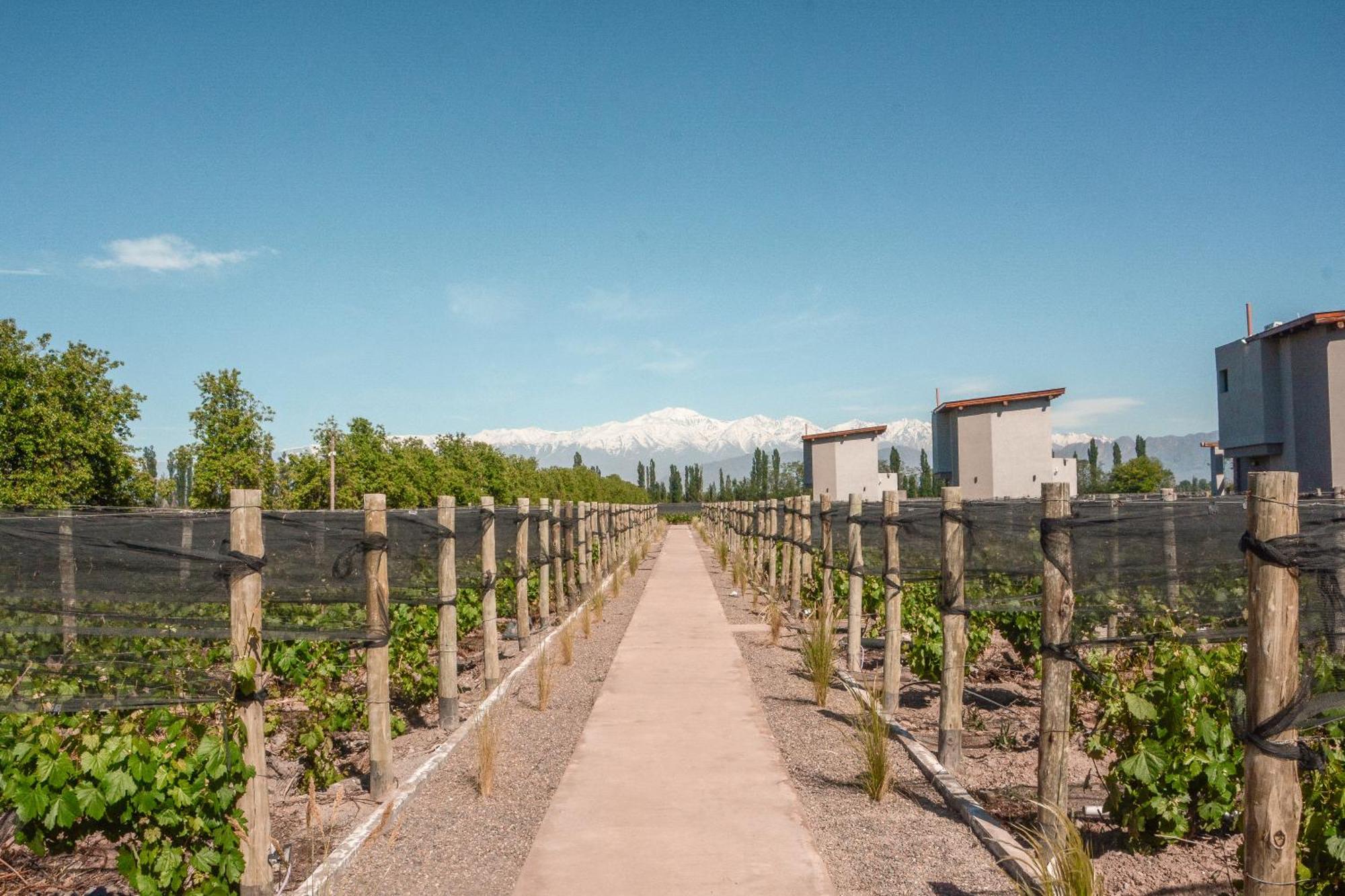 Agrelo Vines Lodge Exteriér fotografie