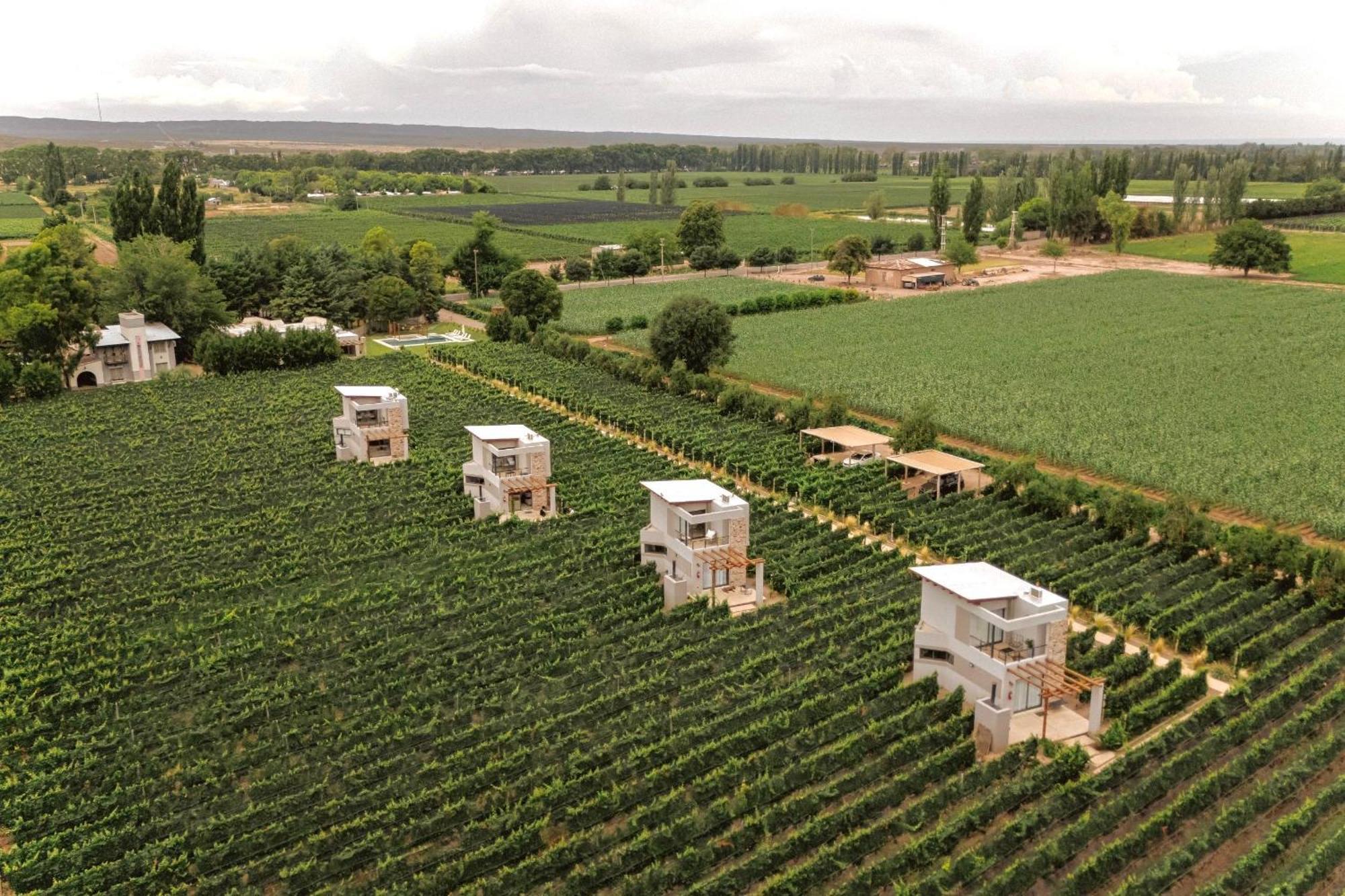 Agrelo Vines Lodge Exteriér fotografie